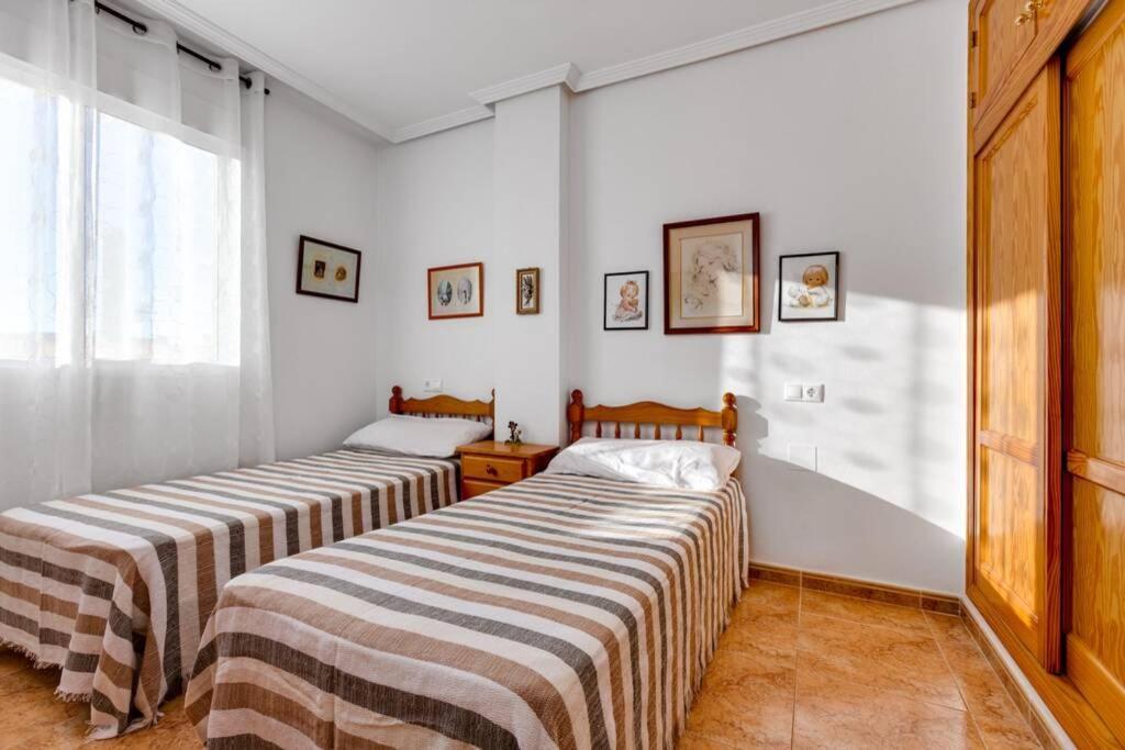 Apartment Ramon Gallud 204 Torrevieja Eksteriør bilde